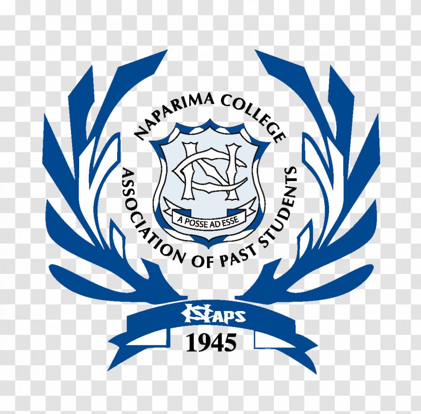 Naparima College Girls' High School Logo Organization - Watercolor Transparent PNG