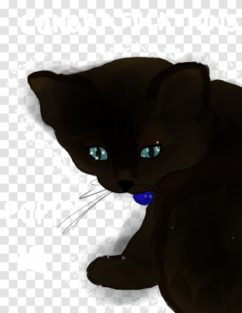 Black Cat Whiskers Domestic Short-haired Snout - Mammal Transparent PNG