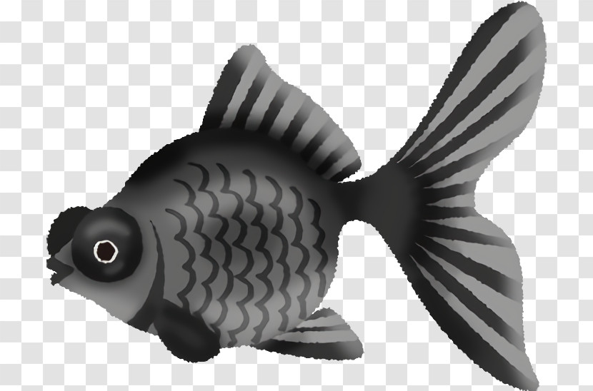 Fish Fish Pomacentridae Animal Figure Carp Transparent PNG