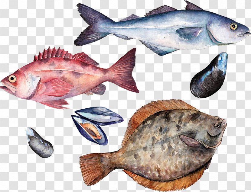 Fish School Seafood Education - Institute - Easy Bake Transparent PNG
