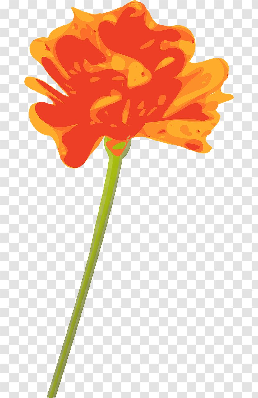 Flower Orange Clip Art - Color - Marigold Transparent PNG