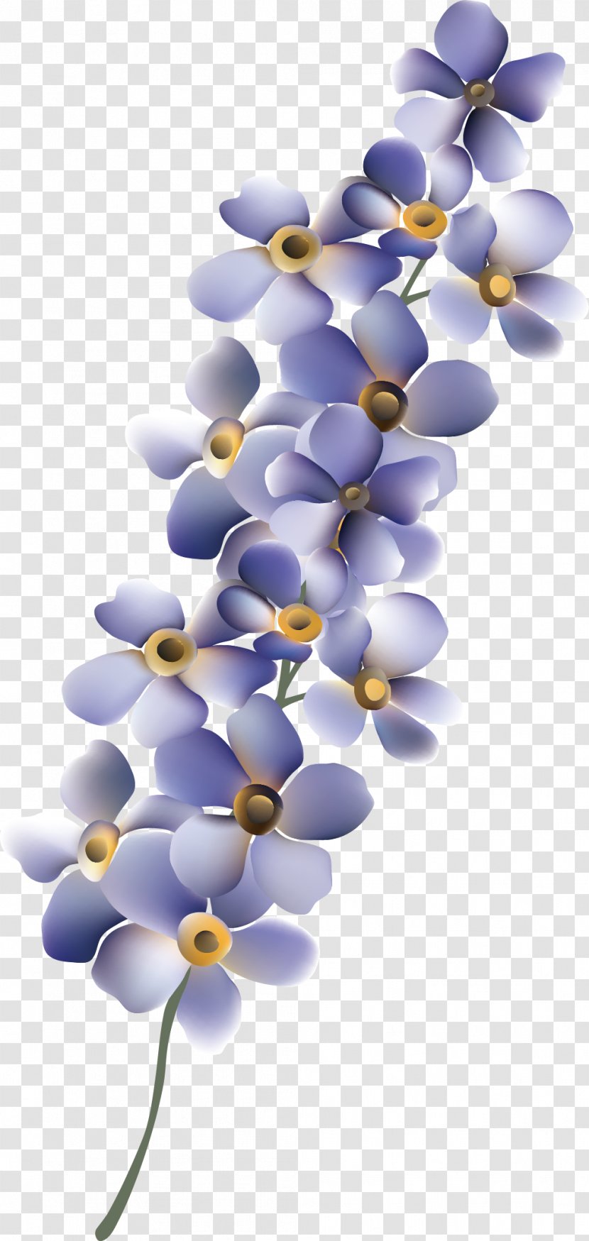 Flower Purple - Plant - Flowers Transparent PNG
