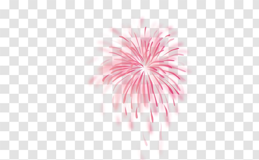 Pink Fireworks Computer Software Clip Art - Magenta - Background Transparent PNG