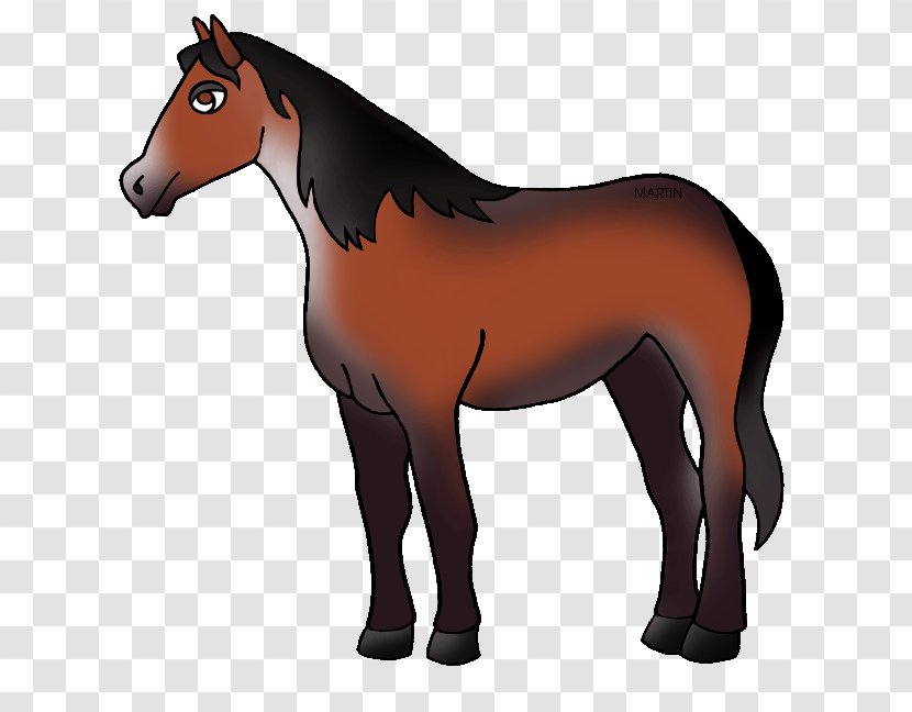 Nokota Horse United States Mule Clip Art - Mustang - Honorary Cliparts Transparent PNG