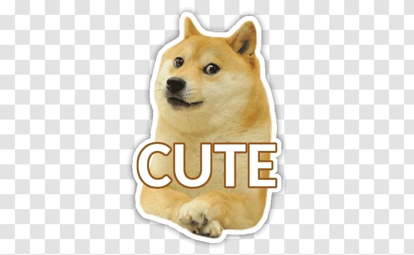 Shiba Inu Dogecoin - Non Sporting Group - Save The Doge Transparent PNG