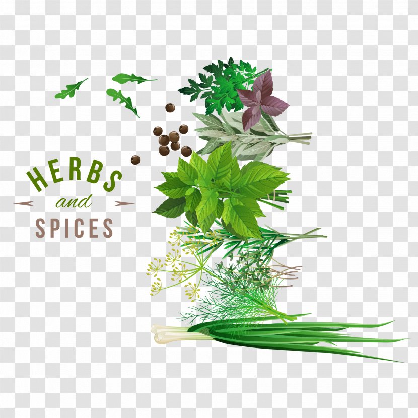 Herb Spice Vegetable - Tree - Fresh Herbs And Spices Vector Design Material Download Transparent PNG