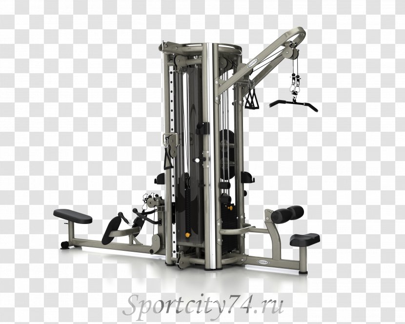 Exercise Machine Fitness Centre Elliptical Trainers Artikel Sport - Bench Press - Matràs Erlenmeyer Vector Transparent PNG
