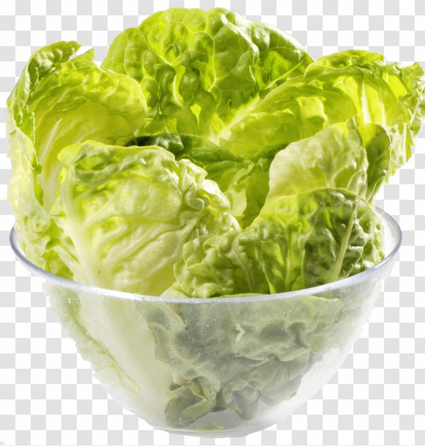 Romaine Lettuce Salade Vegetarian Cuisine - Vegetarianism Transparent PNG