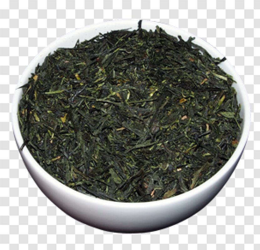 Gyokuro Tea Plant Nilgiri Oolong - Green - Japan Six China Transparent PNG