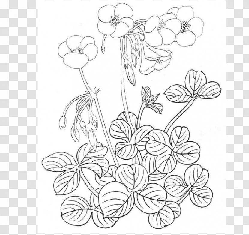 Floral Design Drawing Art /m/02csf - Plant Stem - Painting Technique Transparent PNG