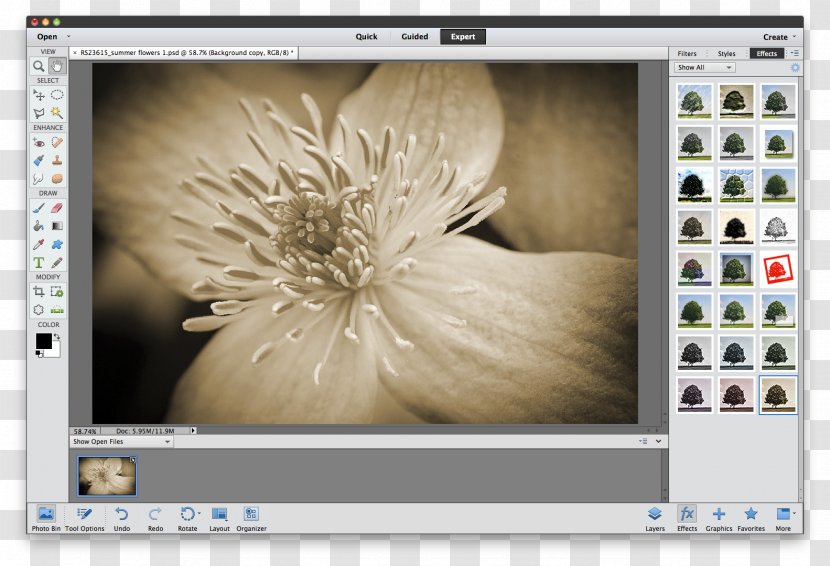 Adobe Photoshop Elements Image Editing Lightroom Transparent PNG