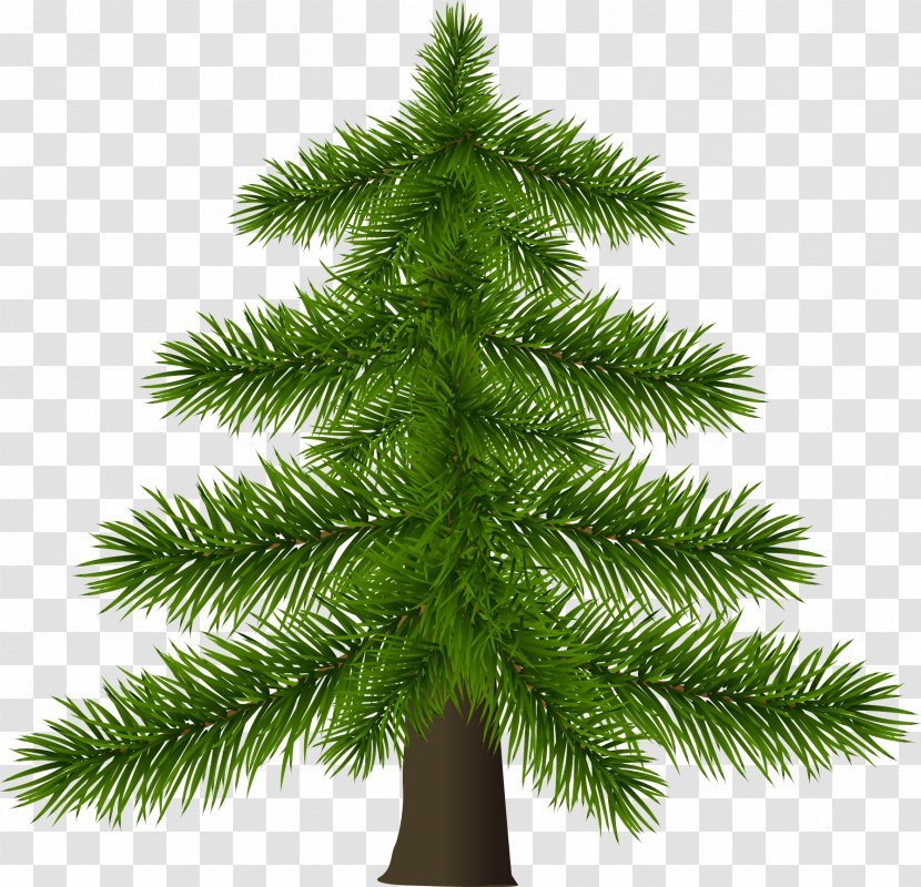 Christmas Tree Pine - Fir-tree Transparent PNG