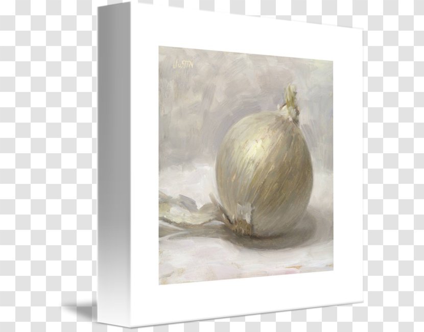 Still Life Photography - Onion Watercolor Transparent PNG