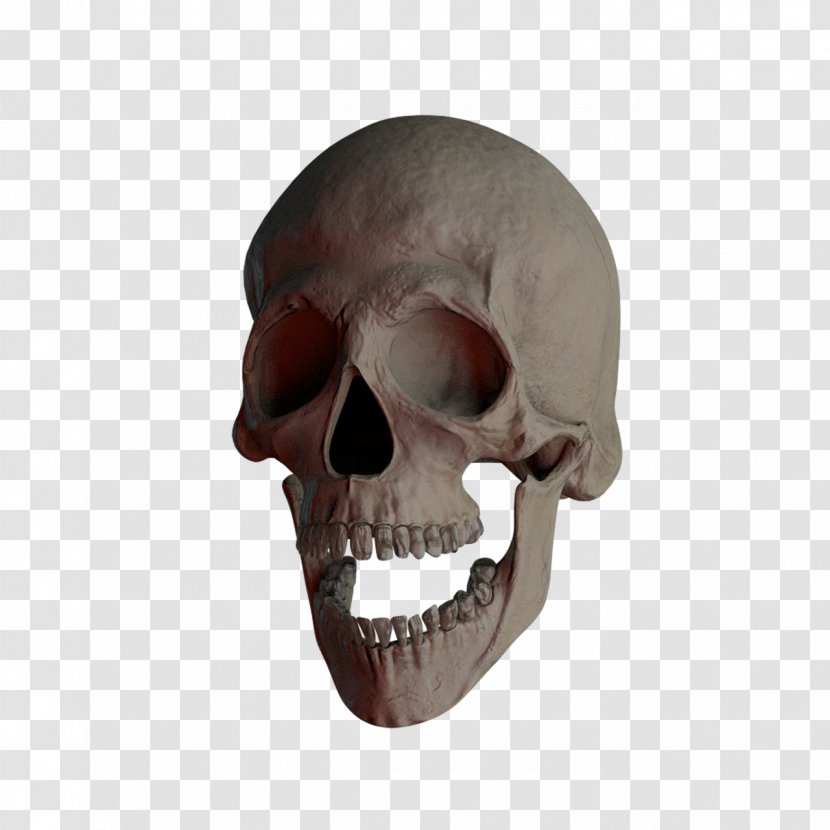Skull And Crossbones Totenkopf 髑髏 - Snout Transparent PNG
