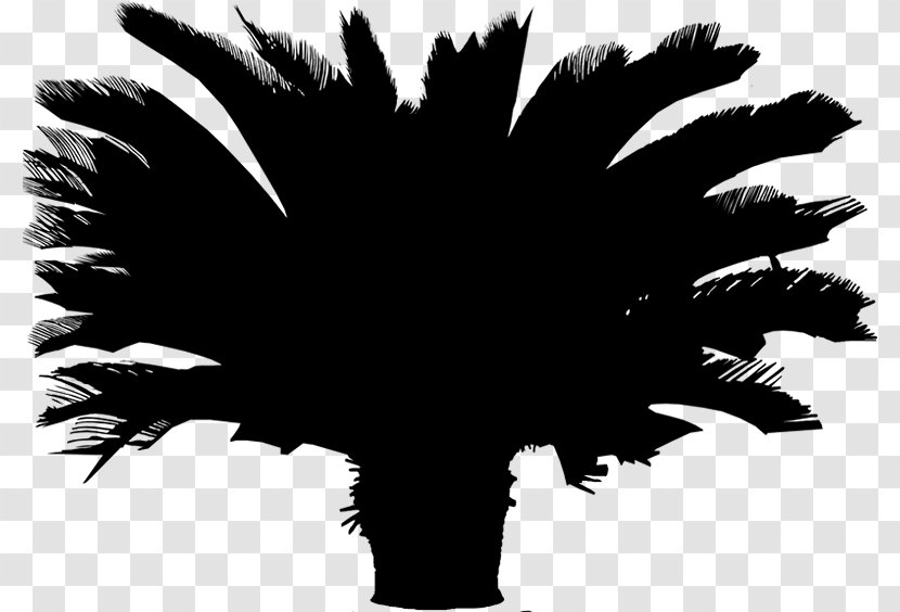 Grammy Awards Palm Trees World Privacy Policy Entertainment - Blackandwhite - Tree Transparent PNG