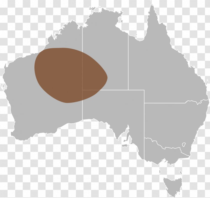 Atlas / Australia Vector Graphics World Map Mangrove Creek Transparent PNG