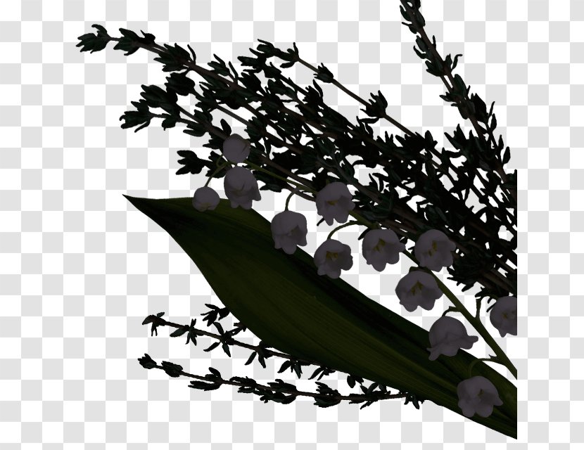 Twig Black & White - M - Plant Stem Leaf FlowerChamomile Heart Transparent PNG
