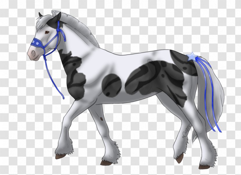 Pony Mustang Foal Stallion Mare - Animal Figure Transparent PNG