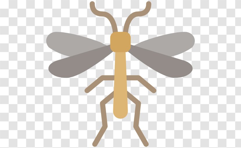 Insect Clip Art - Animal Transparent PNG