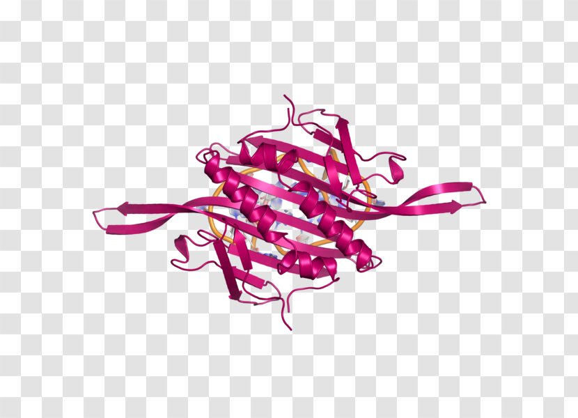 Bacteriophage MS2 RNA Virus Image - Bacteria - Filigree Transparent PNG