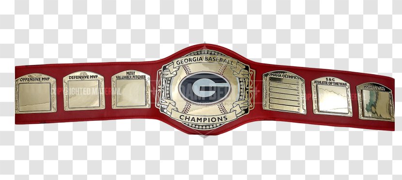 Championship Belt Professional Wrestling - Frame Transparent PNG