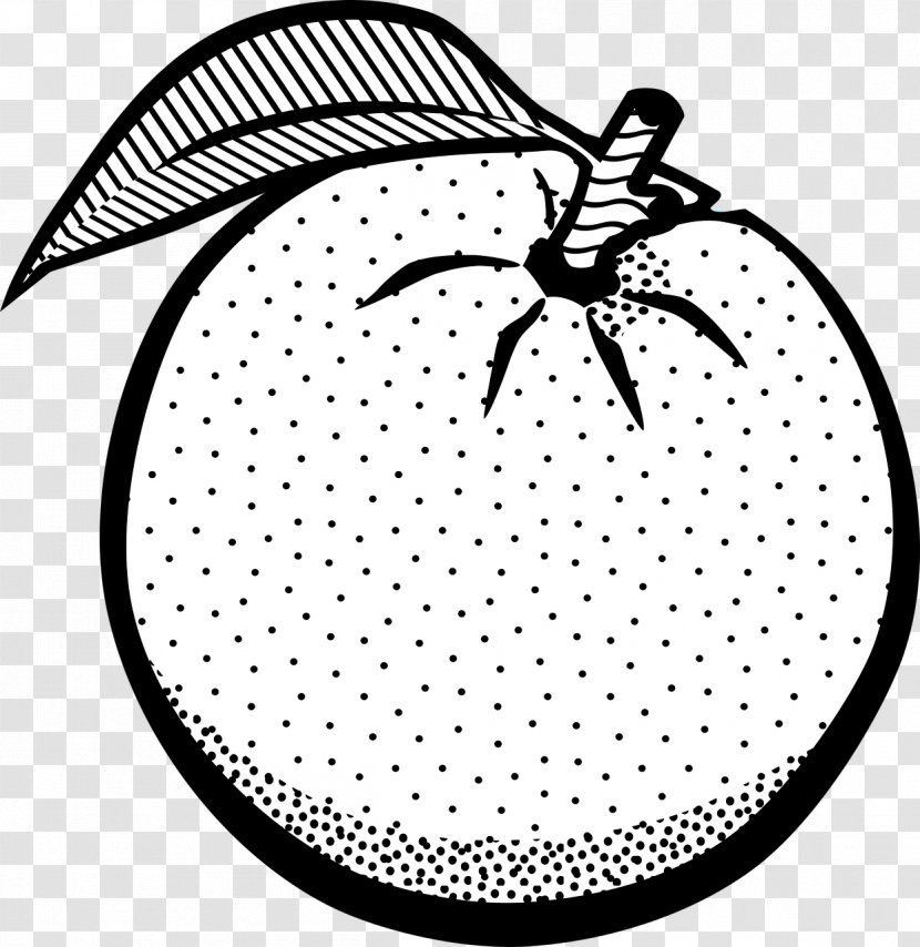 Orange White Fruit Black Clip Art - Monochrome Photography - Persimmon Transparent PNG