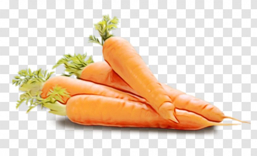 Food Carrot Saveloy Vegetable Cuisine - Bockwurst Wild Transparent PNG