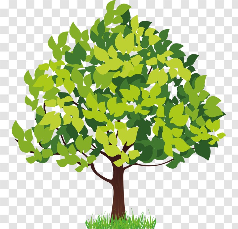 Four Seasons Hotels And Resorts Tree Clip Art - Woody Plant - Money Transparent PNG