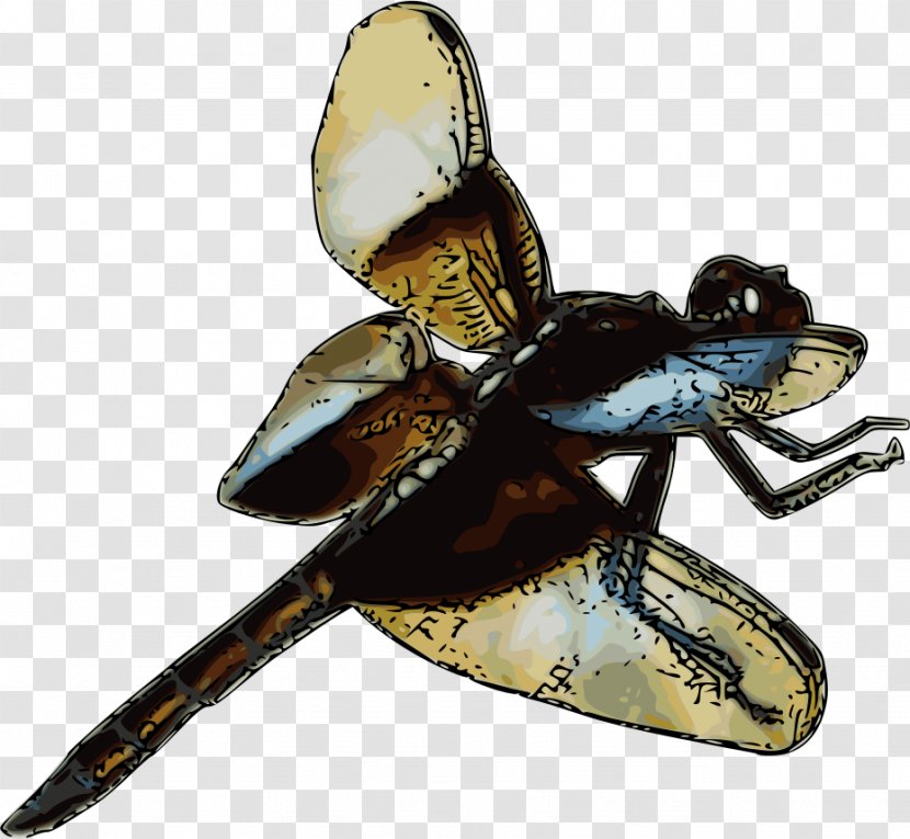 Insect Dragonfly Libellula Damselfly Clip Art - Butterfly - Rambo Transparent PNG