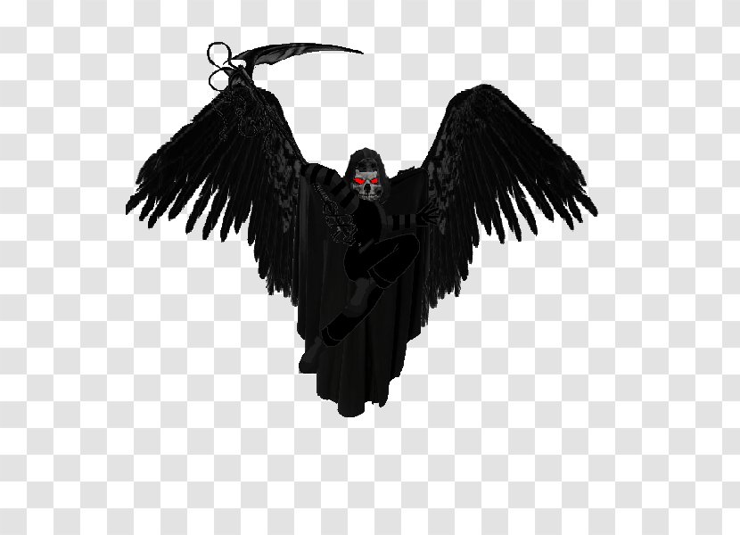 Vulture Beak Feather Legendary Creature Supernatural Transparent PNG