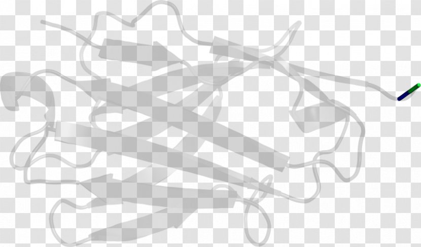 White Clip Art - Branch - Design Transparent PNG