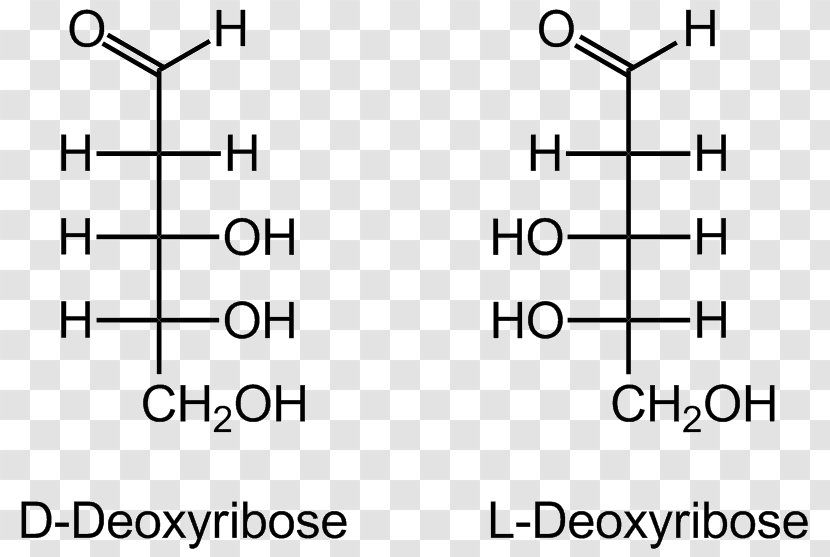 Carbohydrate Imipramine Nutrient Glucose Monosaccharide - Technology Transparent PNG