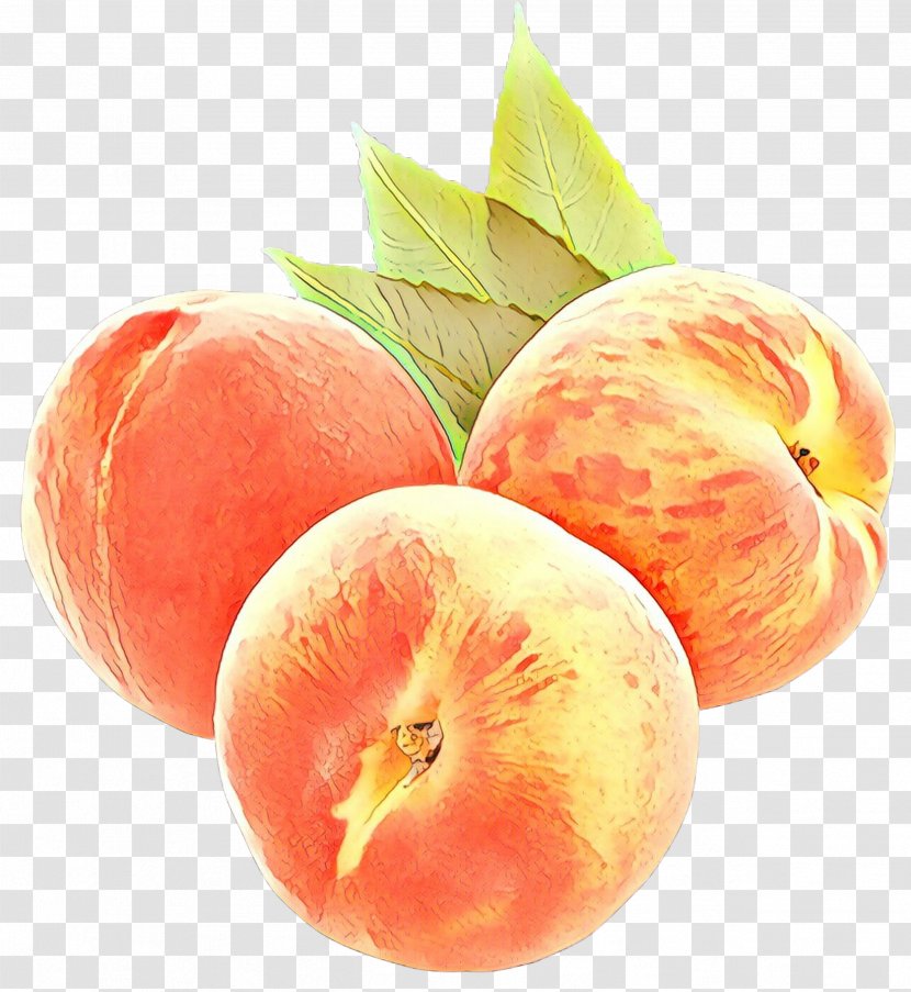 Fruit Cartoon - Local Food - Superfruit Nectarines Transparent PNG