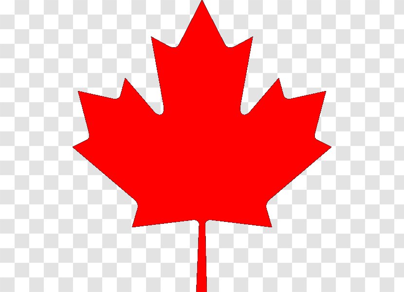 Flag Of Canada Maple Leaf National Clip Art Transparent PNG