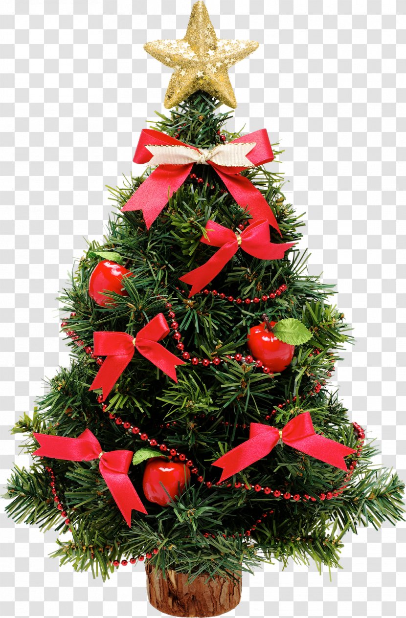 Christmas Tree Decoration New Year - Pine - Decorate Transparent PNG