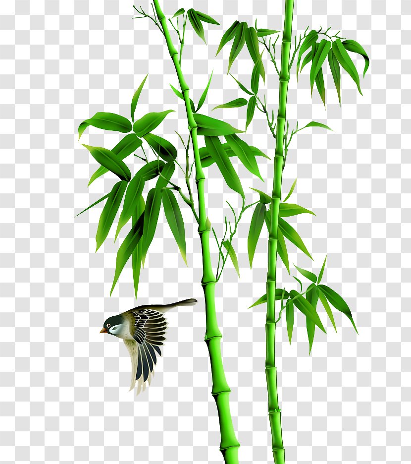 Bamboo Bird-and-flower Painting Icon - Chinese - Forest Transparent PNG