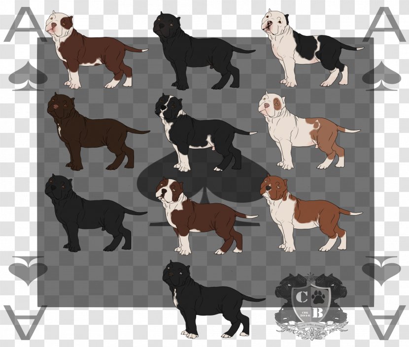 Dog Breed Sporting Group - Carnivoran Transparent PNG