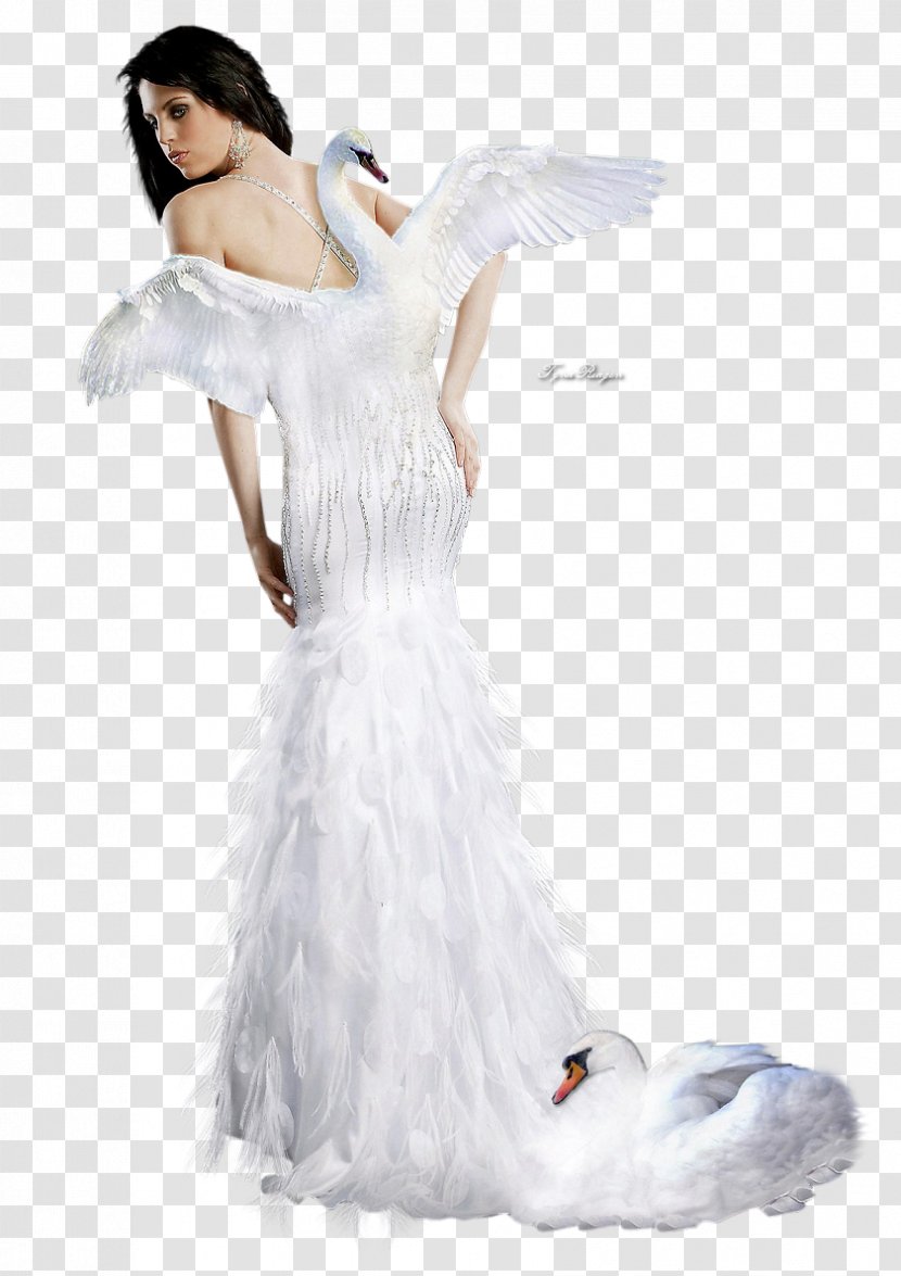 Swan Dress Cygnini Wedding Costume - Cartoon Transparent PNG