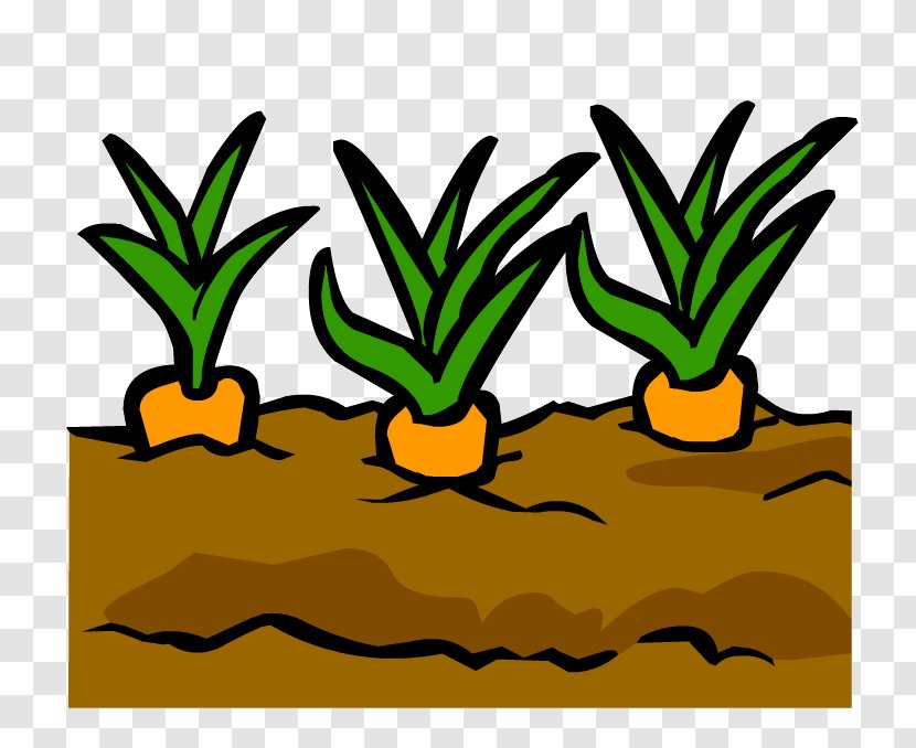 Garden Club Penguin Gardening Sensory - Leaf - Carrot Cartoon Royaltyfree Plant Transparent PNG