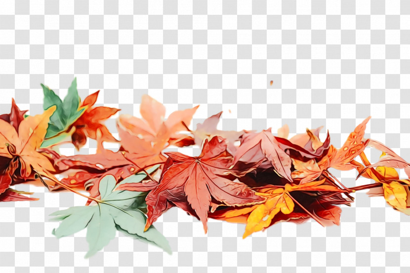 Maple Leaf Transparent PNG