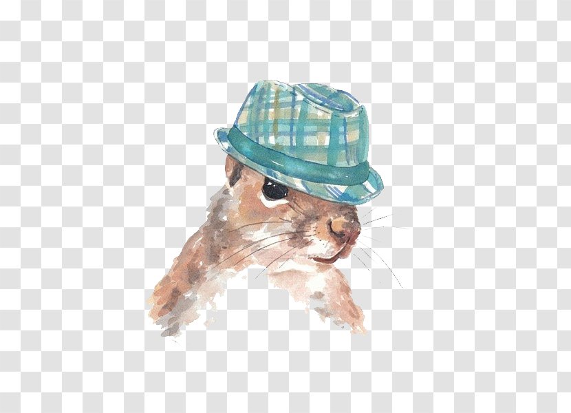 Siamese Cat Squirrel Painting Drawing - Hat - Watercolor Painted Pattern Transparent PNG