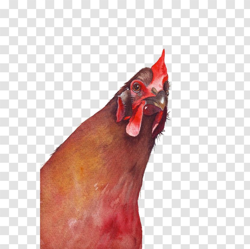 Chicken Watercolor Painting Rooster - Phasianidae - Cock Transparent PNG