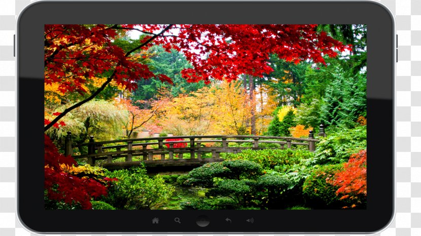 Desktop Wallpaper Nature Stock Photography Landscape - Flora - 2k Transparent PNG