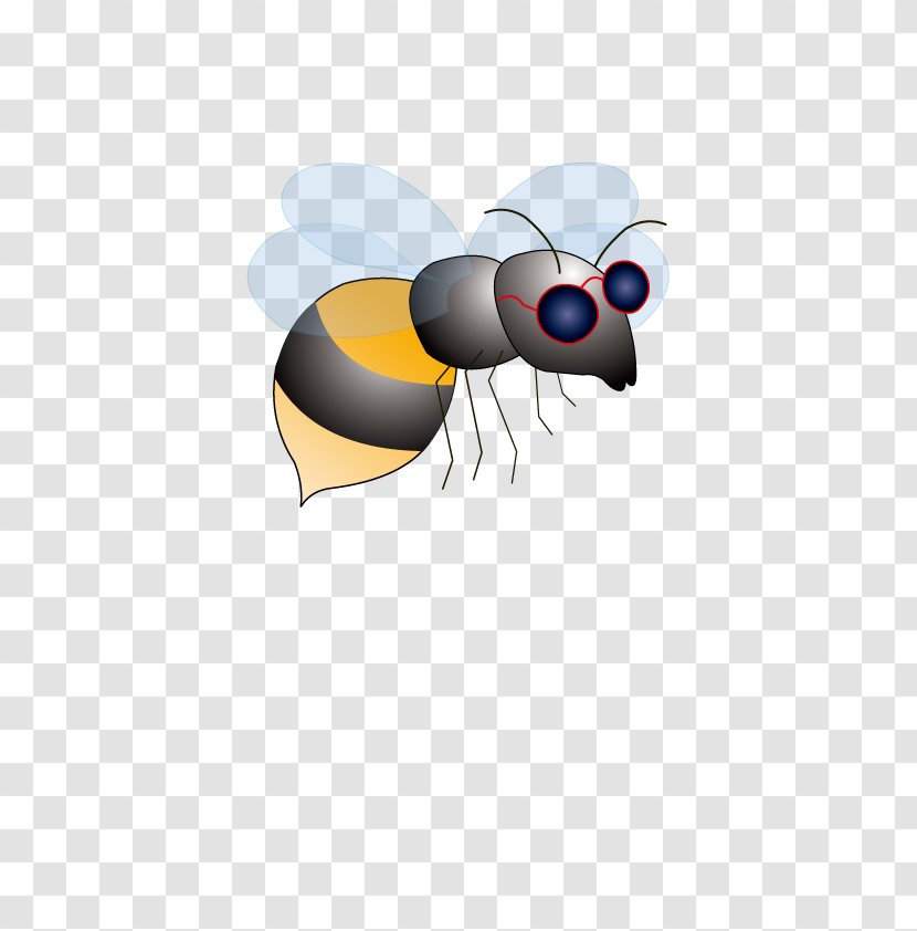 Honey Bee Insect Clip Art - Membrane Winged Transparent PNG