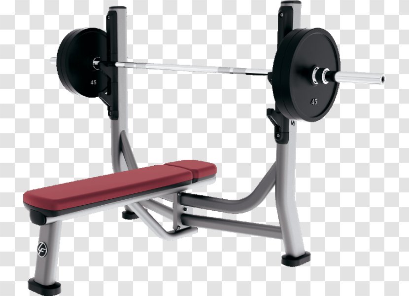 Bench Weight Training Fitness Centre Physical Exercise - Gym - Dumbbell Calf Raises Transparent PNG