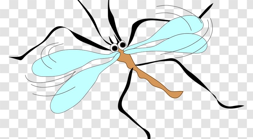 Butterfly Drawing - Mosquito - Herbaceous Plant Membranewinged Insect Transparent PNG