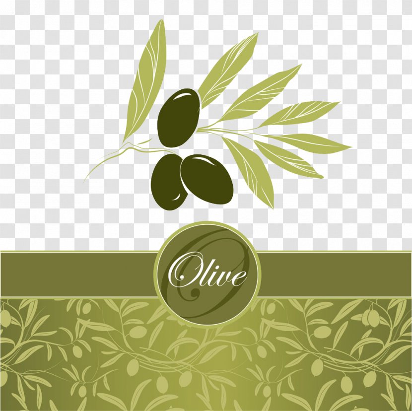 Olive Leaf Euclidean Vector Oil - Logo - Labels Cover Transparent PNG