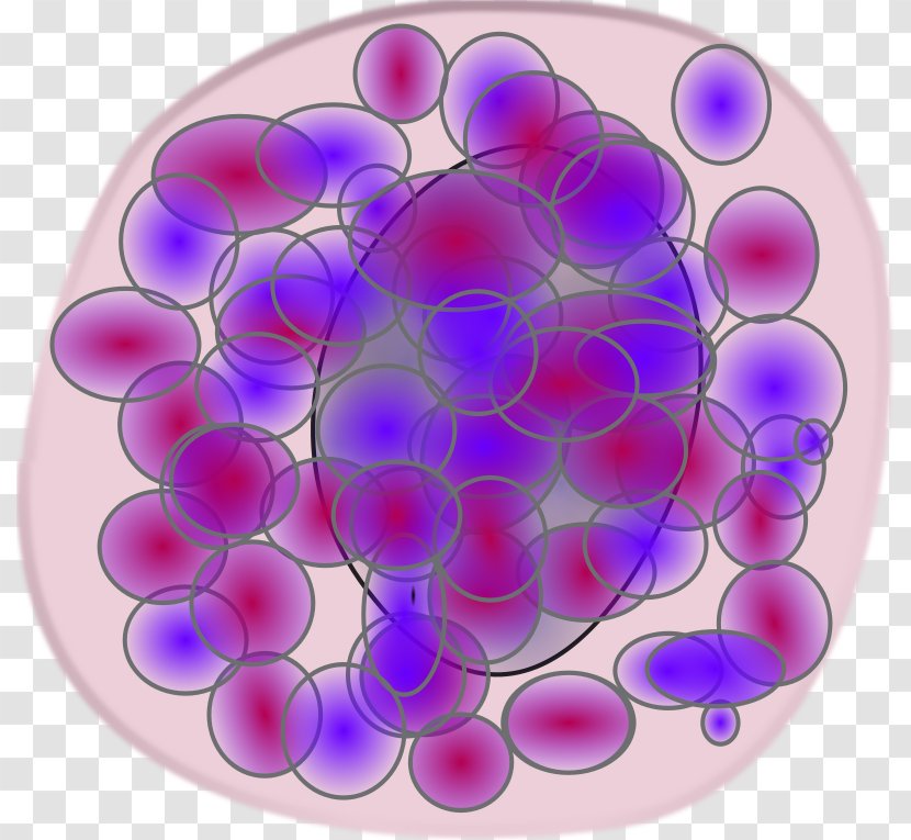 Monocyte Blood Cell Immune System Transparent PNG