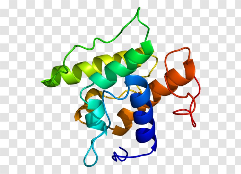 Transgelin GeneCards Protein Actin - Watercolor - Actinbinding Transparent PNG