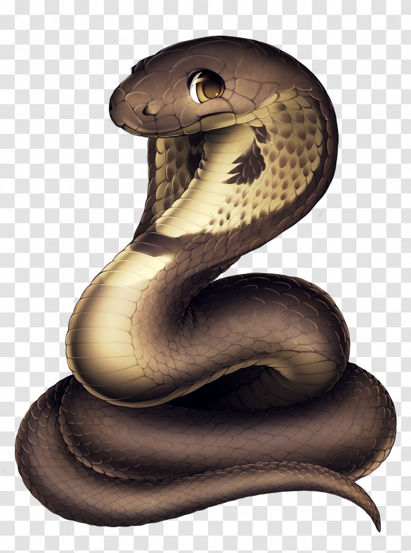 Snakes Cobras Reptile - Venomous Snake - Cobra Drawing Transparent PNG
